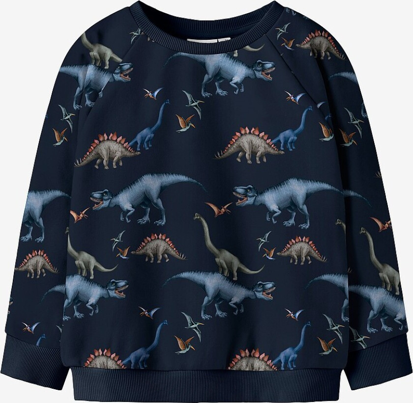 Collegegenser nmmBertil LS - Blå