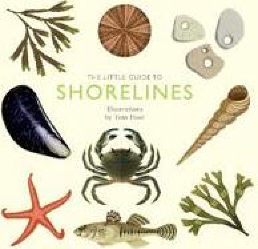 The Little Guide to Shorelines av Alison Davies