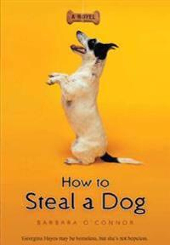 How to Steal a Dog