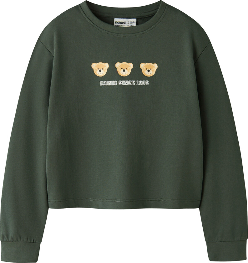 Collegegenser - NkfVanita - Urban Chic/Iconic Teddy - - 6 år (116) - Collegegenser