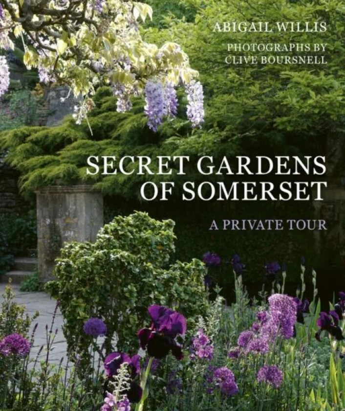 Secret Gardens of Somerset av Abigail Willis