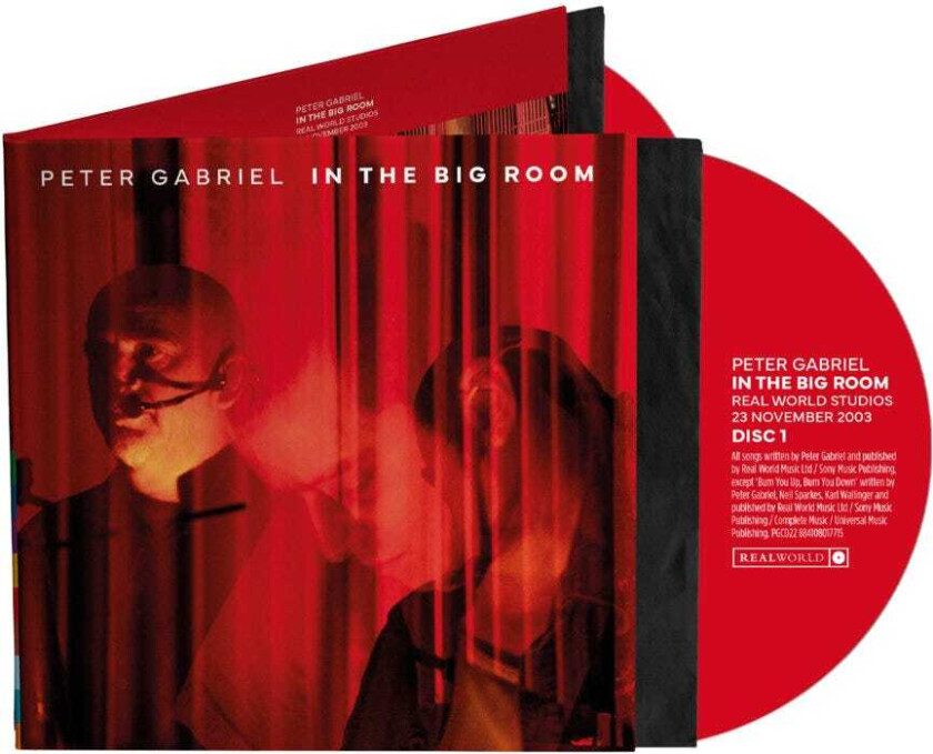 Peter Gabriel In The Big Room CD