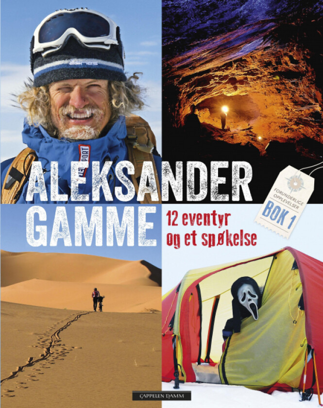 12 eventyr og et spøkelse av Aleksander Gamme