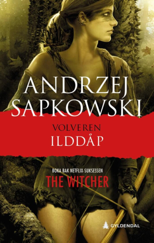 Ilddåp av Andrzej Sapkowski