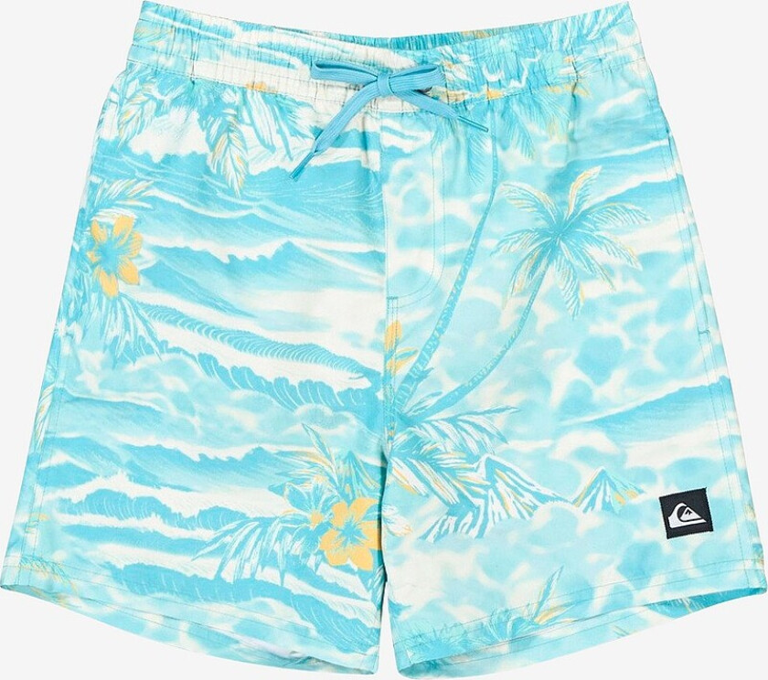 Badebukse Everyday Printed Volley Yth 14 - Blå