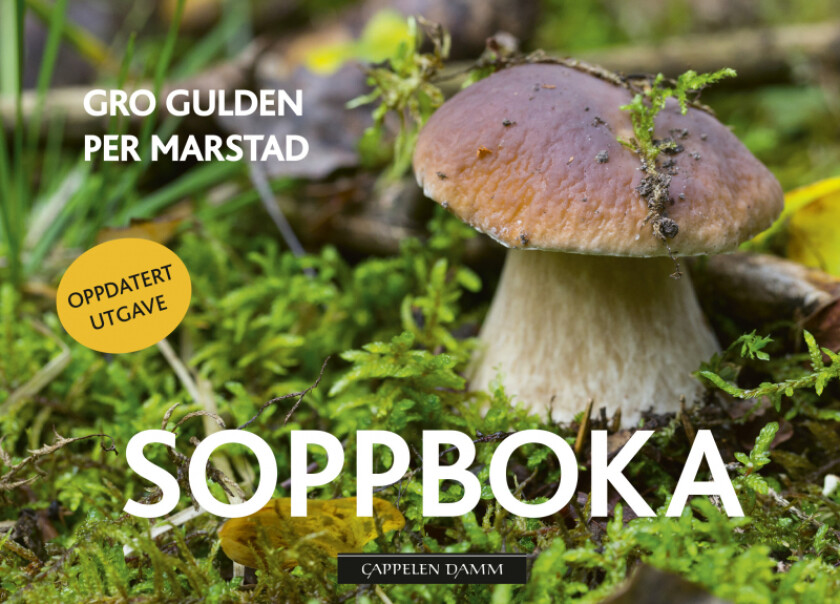 Soppboka av Gro Gulden