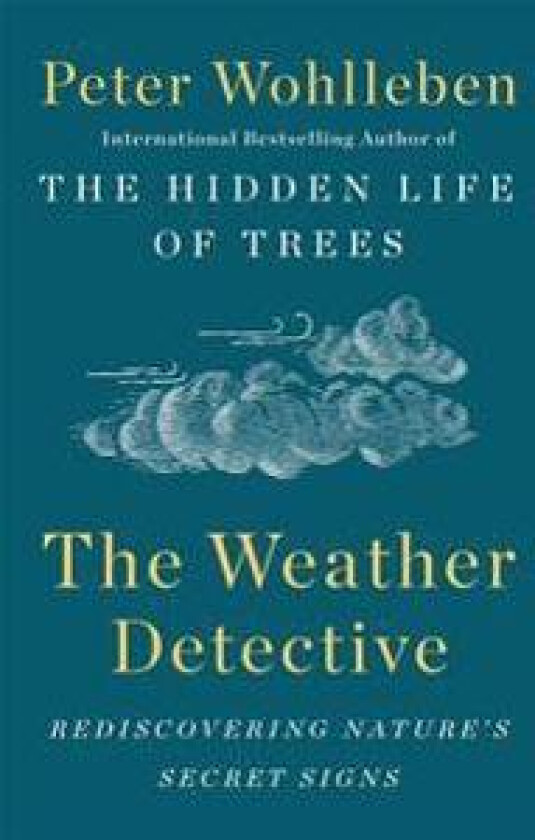 The Weather Detective: Rediscovering Nature's Secret Signs