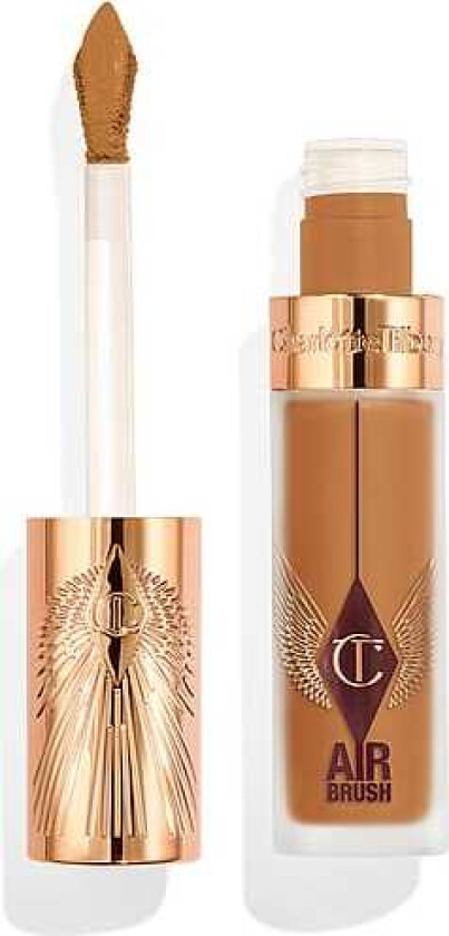 Airbrush Flawless Blur Concealer 13.5 DEEP