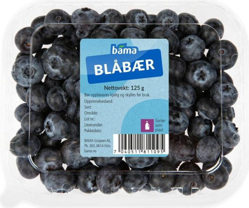 Blåbær 125g Beger