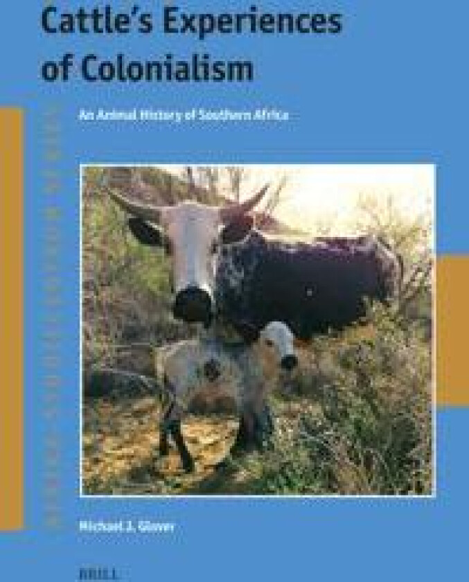 Cattle's Experiences of Colonialism