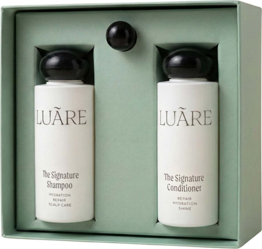 The Mini Essentials Set