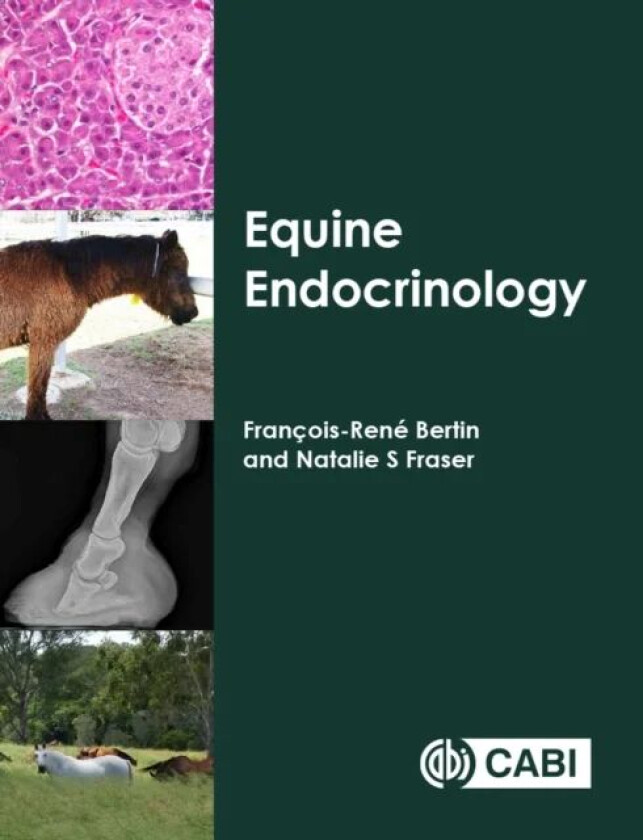 Equine Endocrinology av Francois-Rene (The University of Queensland Australia) Bertin, Natalie S (The University of Queensland Australia) Fraser
