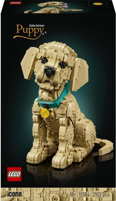 Icons 11384 Golden retriever-valp