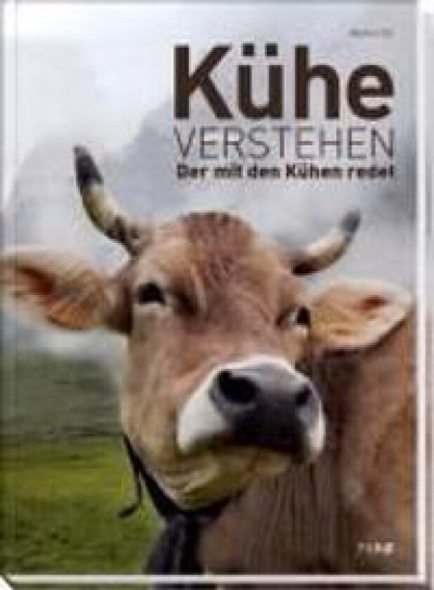 Kühe verstehen