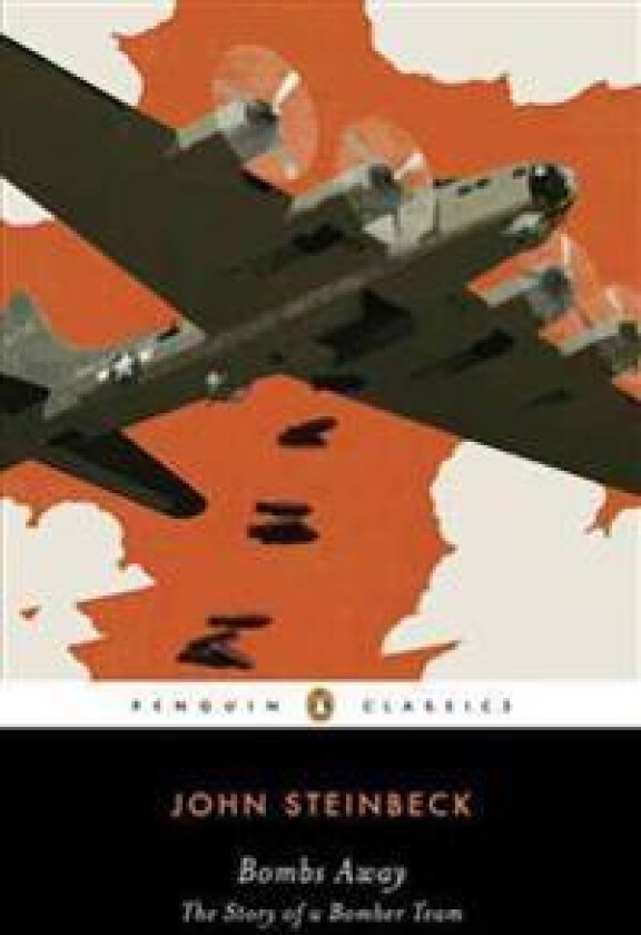 Bombs Away: The Story of a Bomber Team