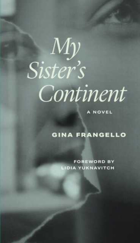 My Sister's Continent A Novel