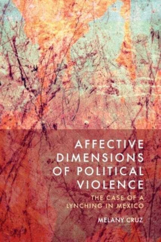 Affective Dimensions of Political Violence The Case of a Lynching in Mexico