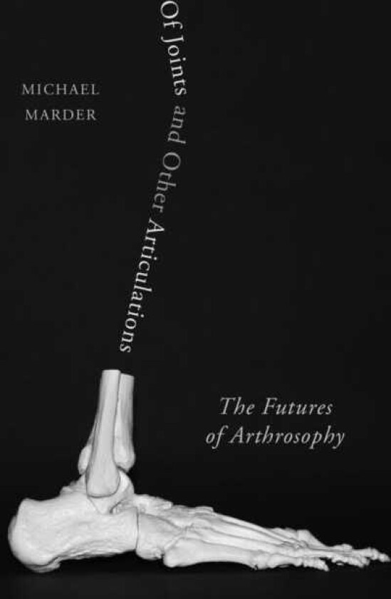 Of Joints and Other Articulations The Futures of Arthrosophy