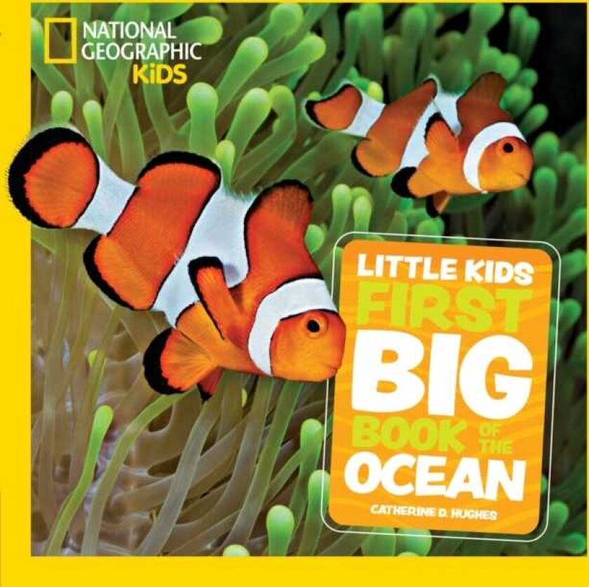 Little Kids First Big Book of The Ocean