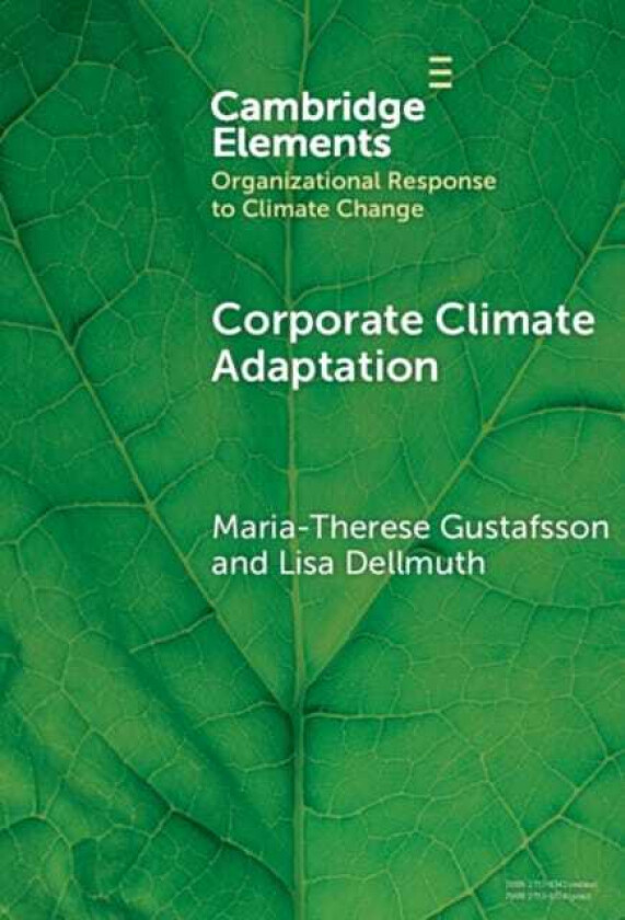 Corporate Climate Adaptation Translating Complex Societal Risks into Business as Usual