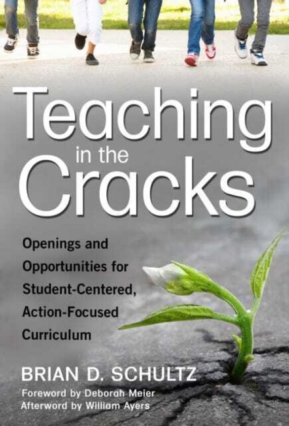 Teaching in the Cracks Openings and Opportunities for StudentCentered, ActionFocused Curriculum