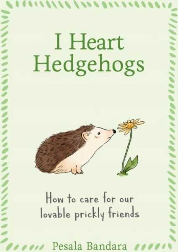 I Heart Hedgehogs How to Care for Our Lovable Prickly Friends