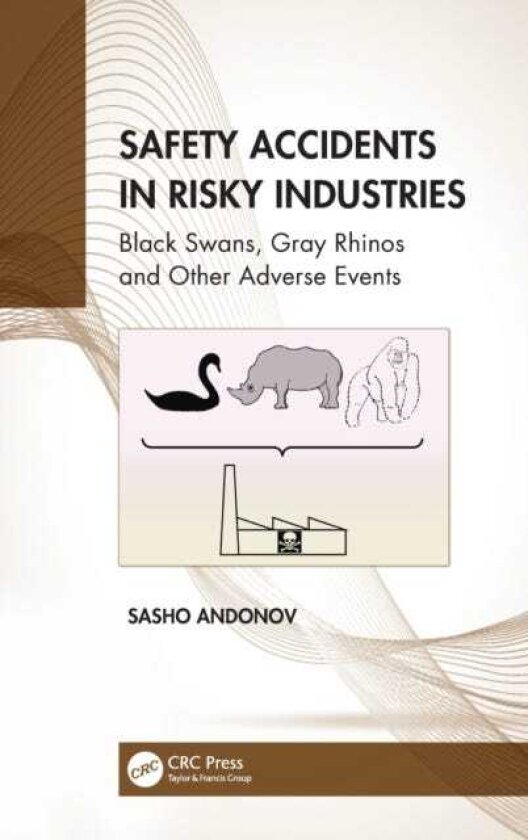 Safety Accidents in Risky Industries Black Swans, Gray Rhinos and Other Adverse Events