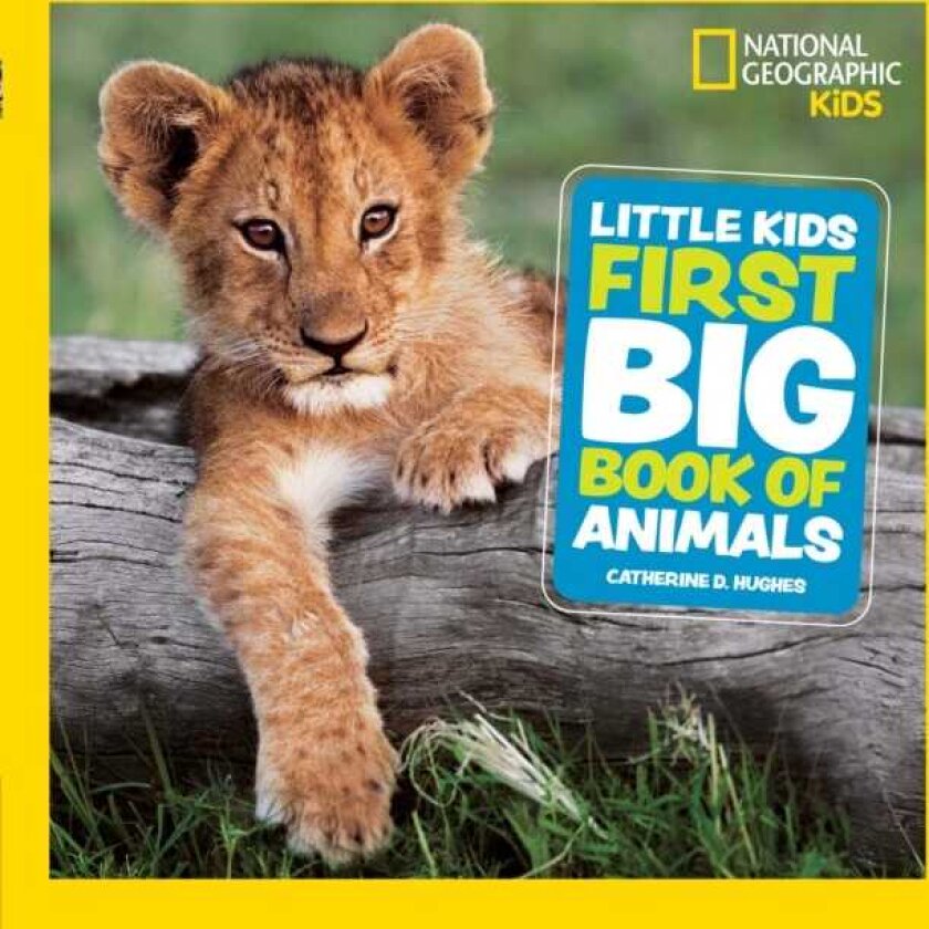 Little Kids First Big Book of Animals