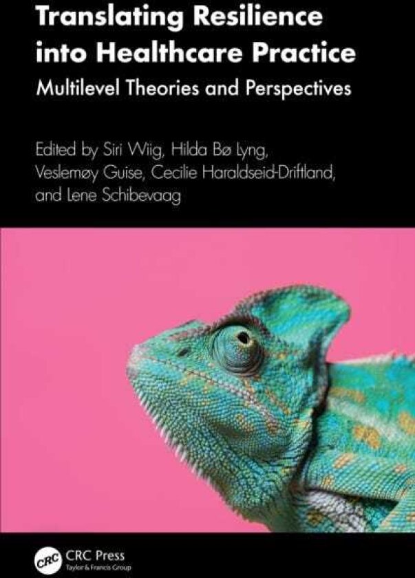 Translating Resilience into Healthcare Practice Multilevel Theories and Perspectives