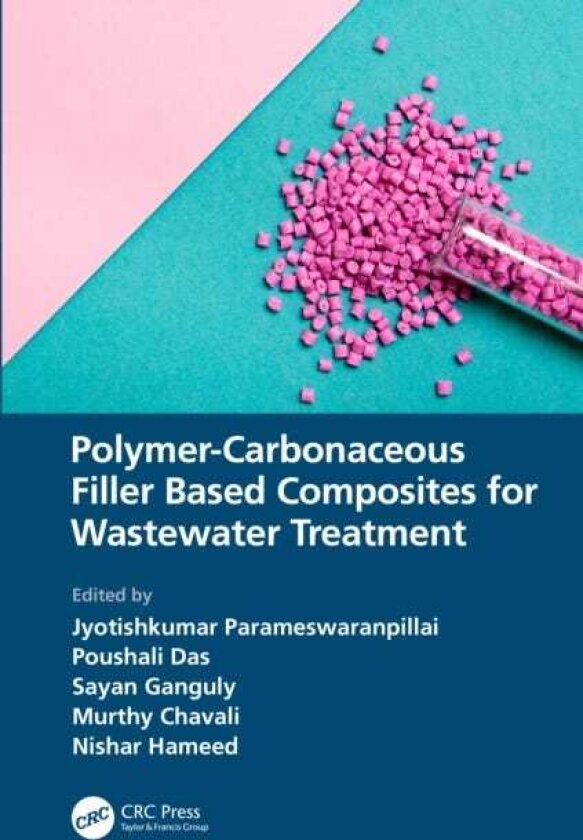 PolymerCarbonaceous Filler Based Composites for Wastewater Treatment