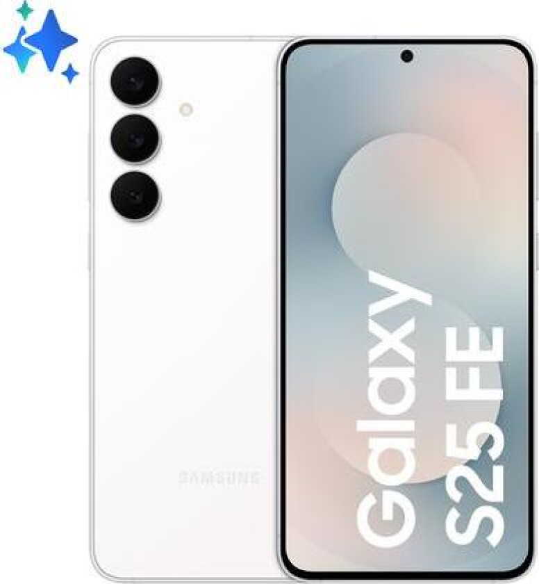 Galaxy S25 Fe 5G 17 Cm (6.7")