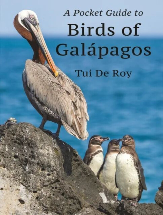 A Pocket Guide to Birds of Galapagos av Tui De Roy