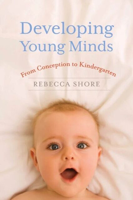 Developing Young Minds av Rebecca A. Shore