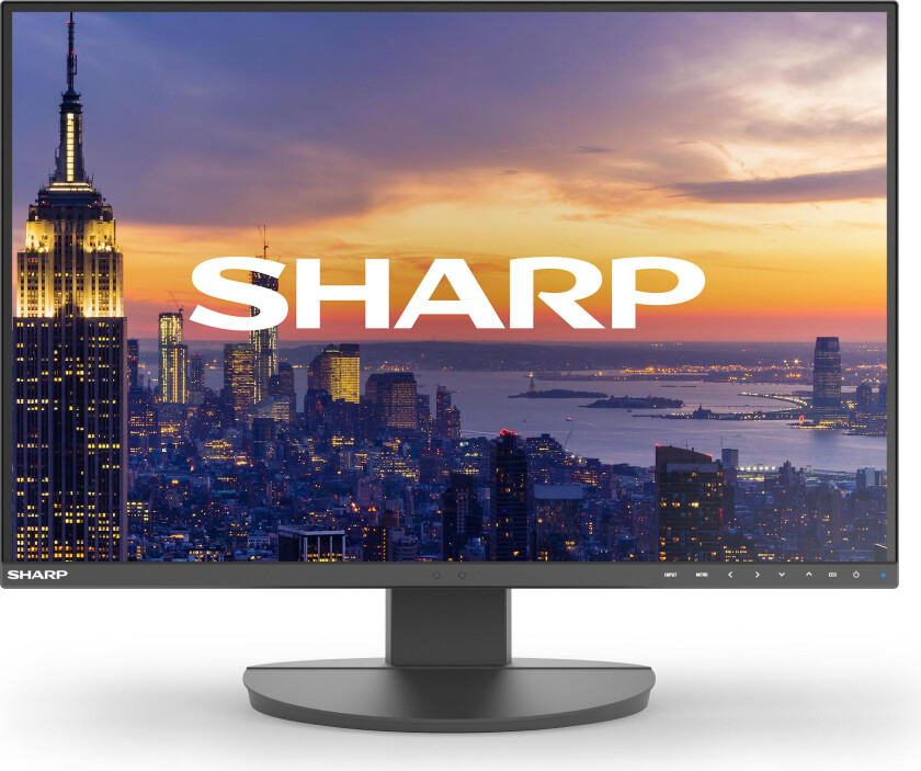 DD-EA242W BLACK 24IN IPS 1920X1200 16:10 300CD