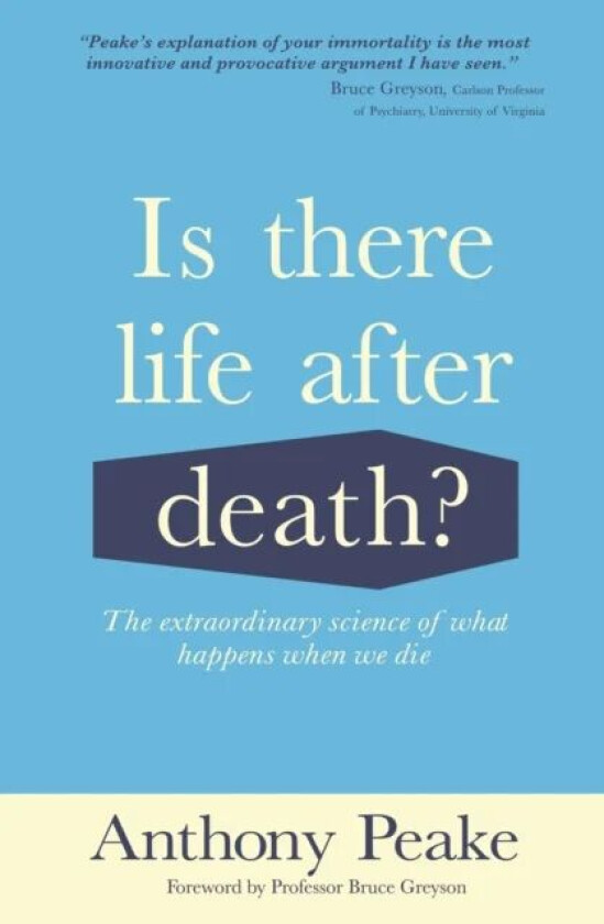 Is There Life After Death? av Anthony Peake