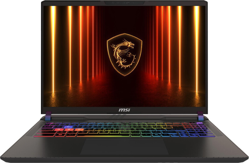 Vector 16 HX AI A2XWHG-074 laptop Intel Core Ultra 7 255HX 40,6 cm (16") Quad HD+ 16 GB DDR5-SDRAM 512 GB SSD NVIDIA GeForce RTX 5070 Ti Wi-Fi 6E
