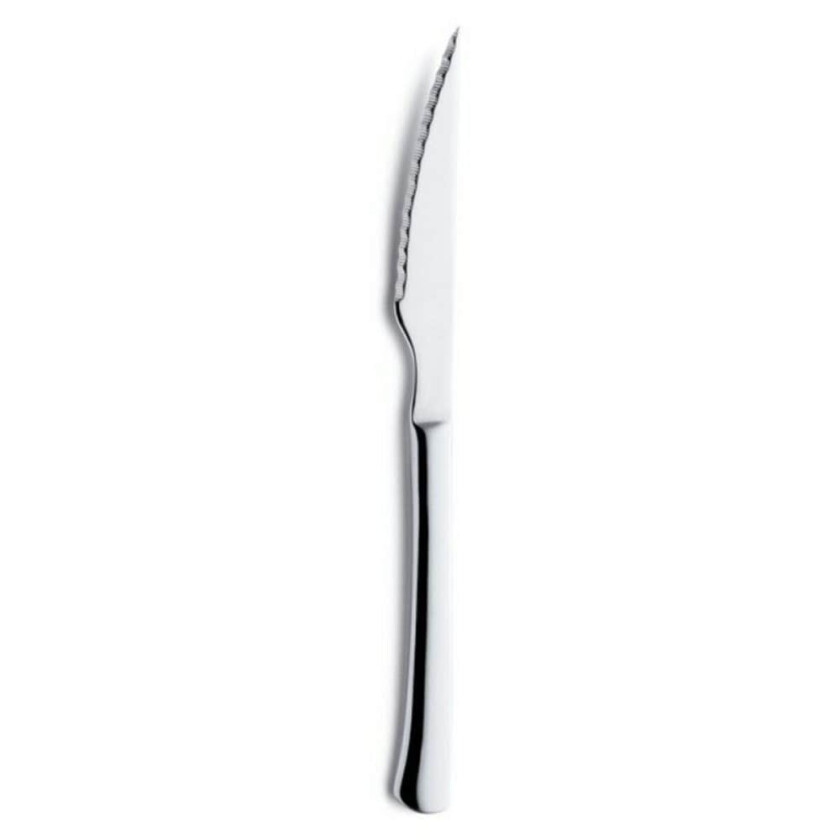 Sagnet kniv Amefa Torero Metall 25 cm 12 kvantum