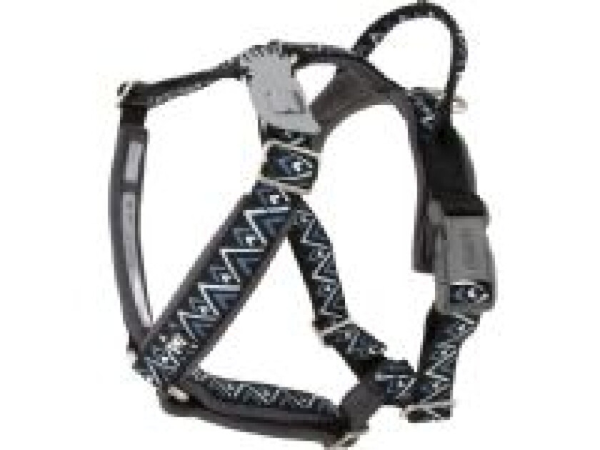 Razzle-Dazzle Y-harness 45-55 cm Blackberry