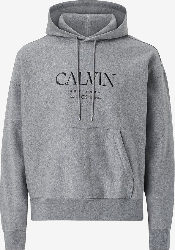 Hettegenser LS Premium Fleece Calvin Graphic - Grå