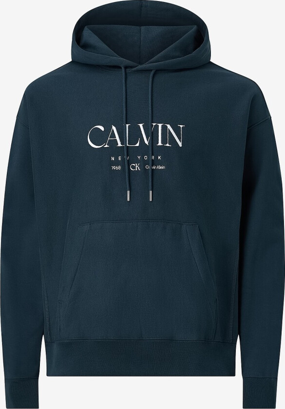 Hettegenser LS Premium Fleece Calvin Graphic - Blå