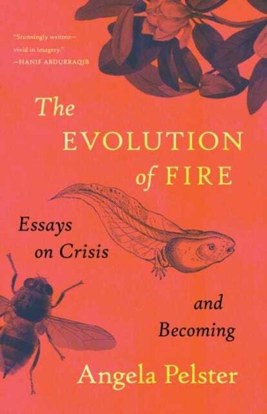 The Evolution of Fire Essays on Crisis and Becoming