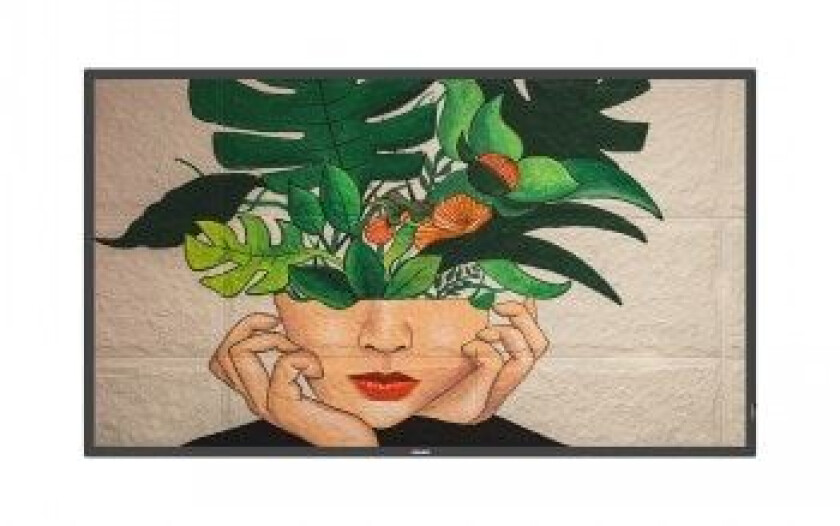 43BDL4511D D-Line - 43" Class (42.5" viewable) LED-backlit LCD display - 4K - for digital signage