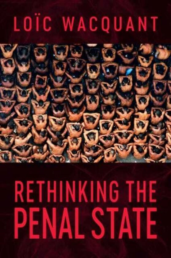 Rethinking the Penal State