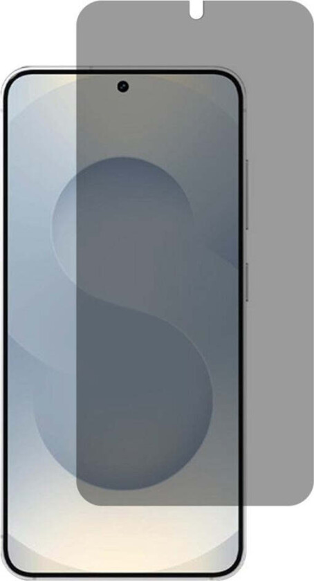 Samsung Galaxy S26 / S26 Pro Skjermbeskyttelsesglass - Privacy Funksjon - Gjennomsiktig