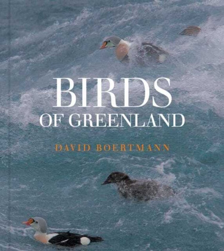 Birds of Greenland An annotated and updated checklist