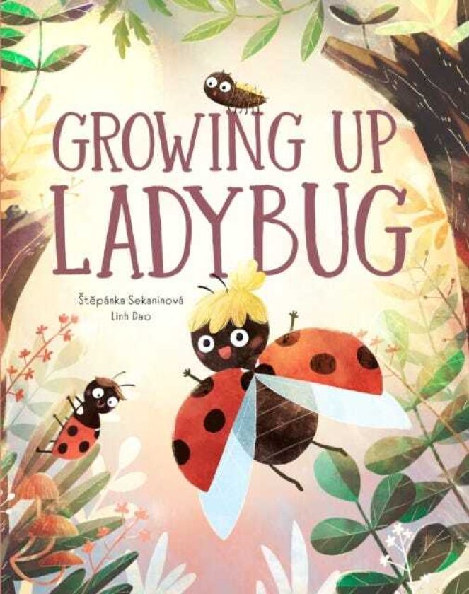The Life of a Ladybug