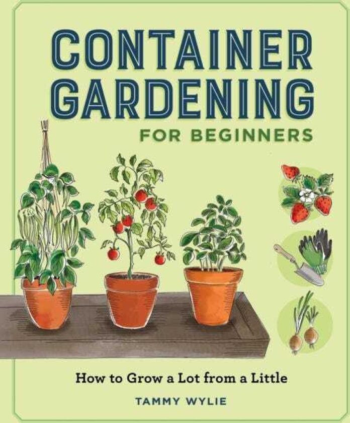 Container Gardening for Beginners How to Grow a Lot from a Little