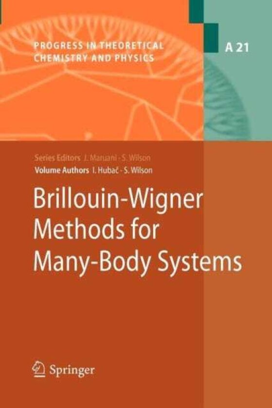 BrillouinWigner Methods for ManyBody Systems