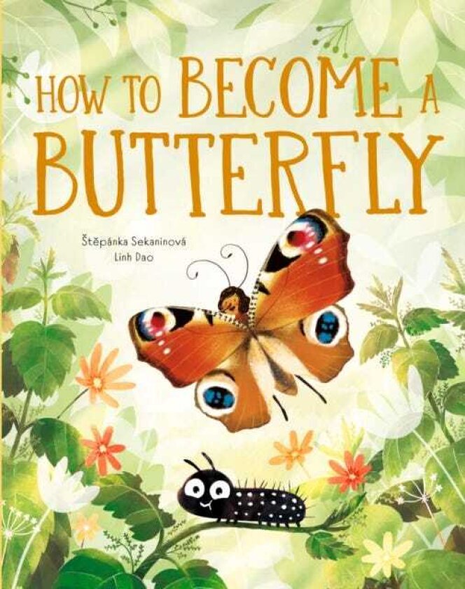 The Life of a Butterfly