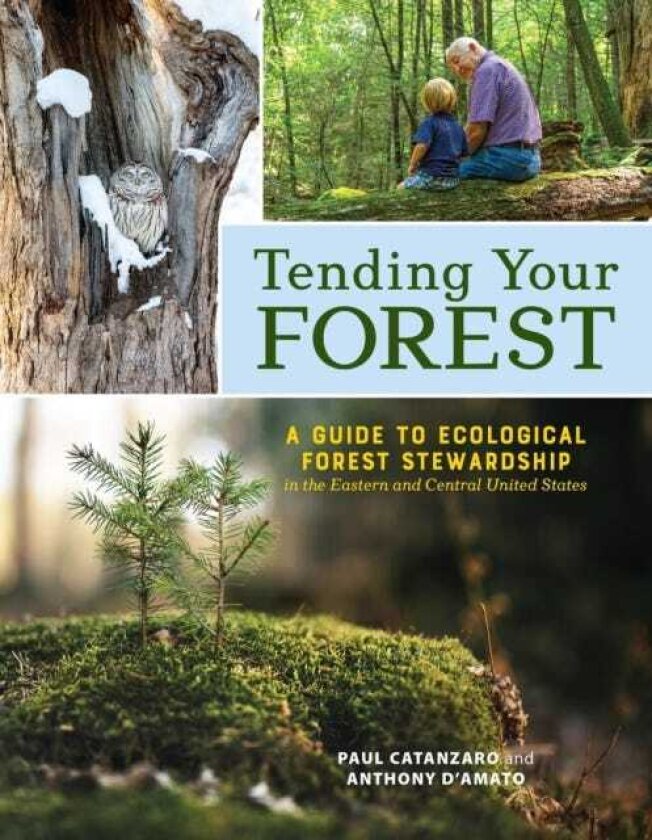 Tending Your Forest A Guide to Ecological Forest Stewardship in the Eastern and Central United States